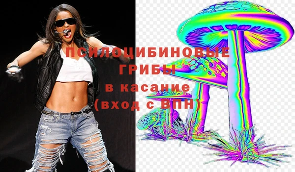 эйфоретик Бородино